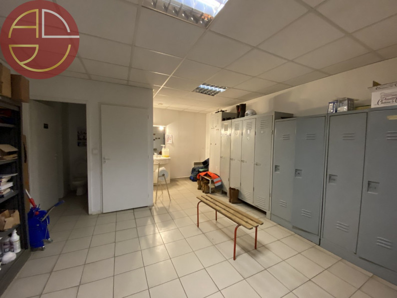 location Entrepot Tournefeuille - Photo 5