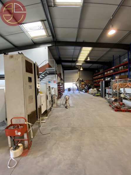 location Entrepot Tournefeuille - Photo 6