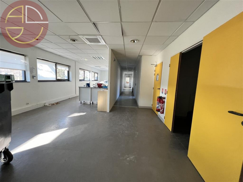 location Bureau Toulouse - Photo 4