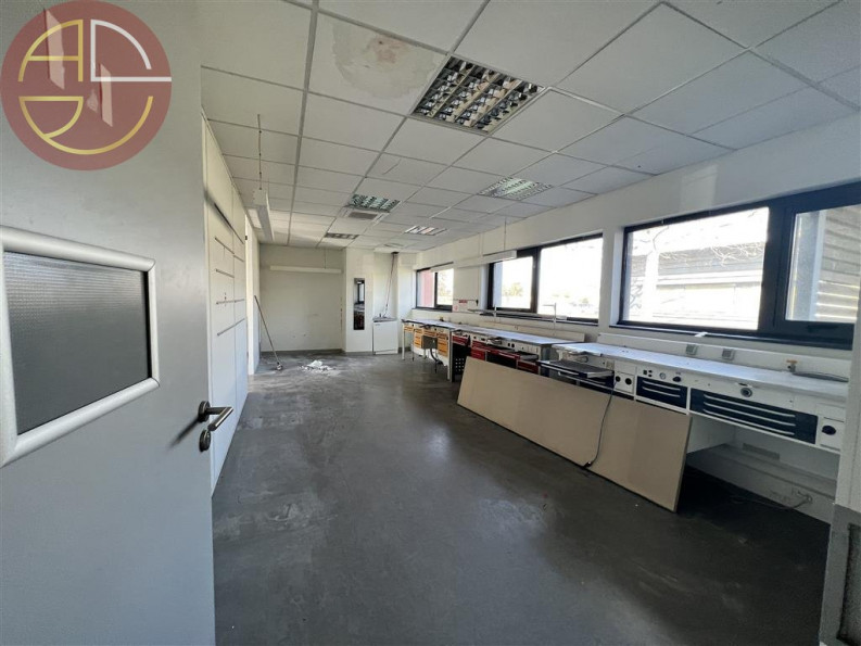 location Bureau Toulouse - Photo 9