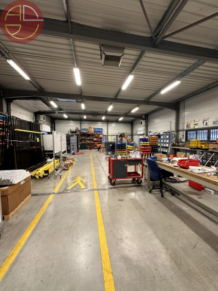 location Entrepot Montrabe - Photo 8