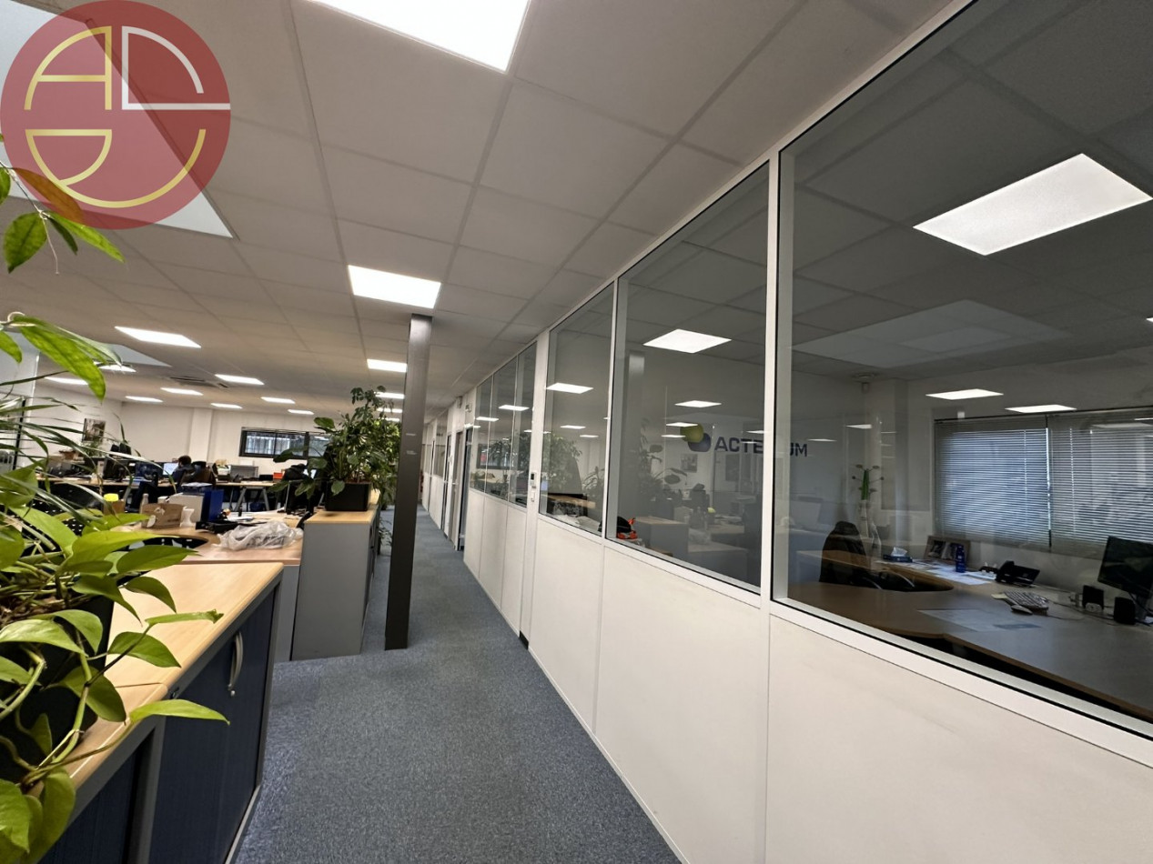 location Entrepot Montrabe - Photo 4