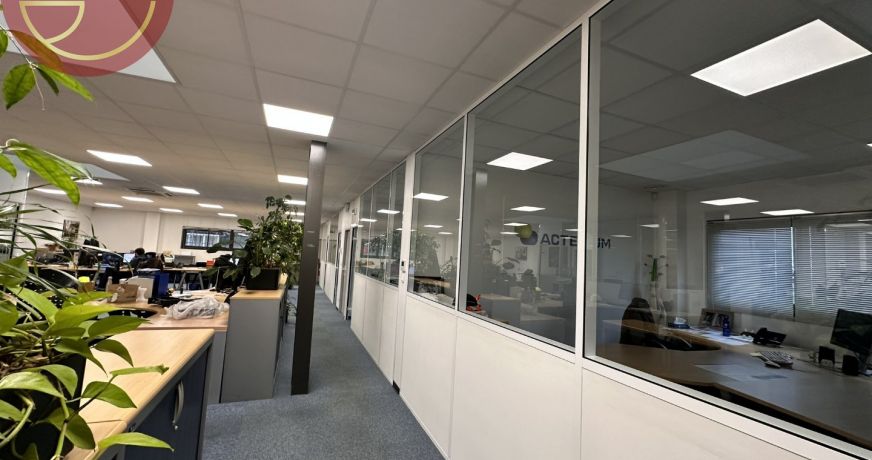 location Entrepot Montrabe