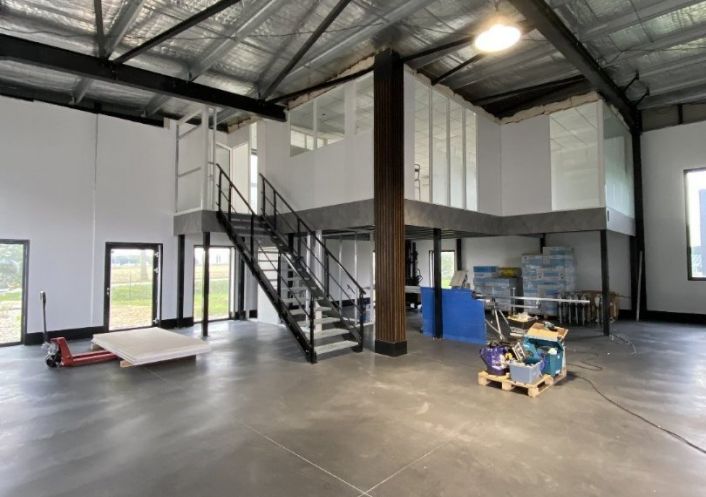 location Entrepot Pibrac