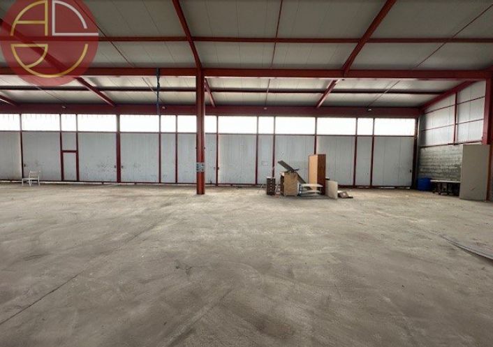 vente Entrepot Toulouse