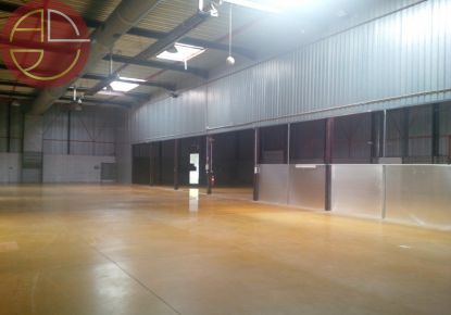 location Entrepot Toulouse