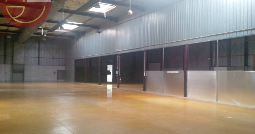 location Entrepot Toulouse