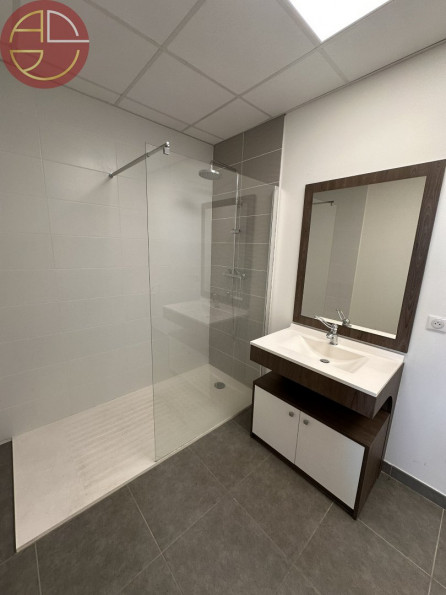 location Local commercial Plaisance-du-touch - Photo 4