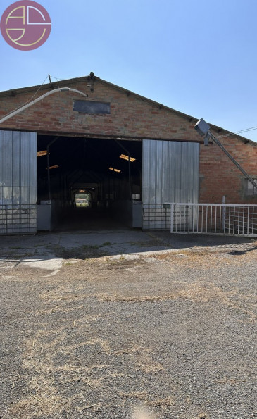 location Entrepot Capens - Photo 2