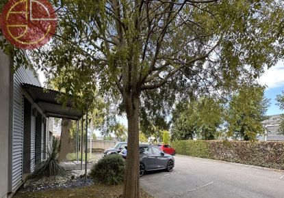 location Local commercial Cugnaux