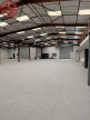 location Entrepot Plaisance-du-touch