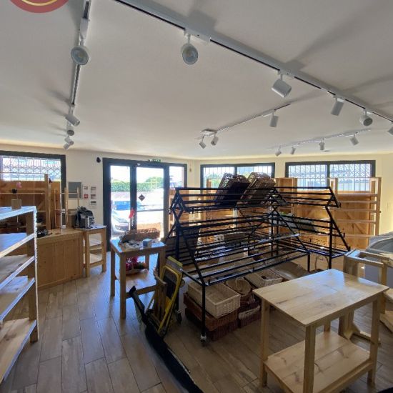 vente La-salvetat-saint-gilles