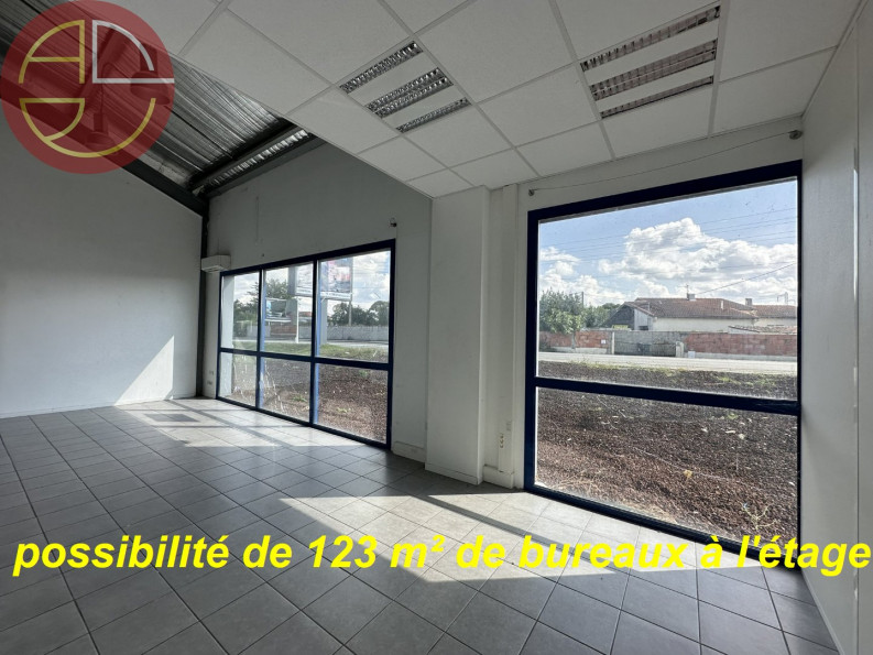 location Local commercial La-salvetat-saint-gilles - Photo 1
