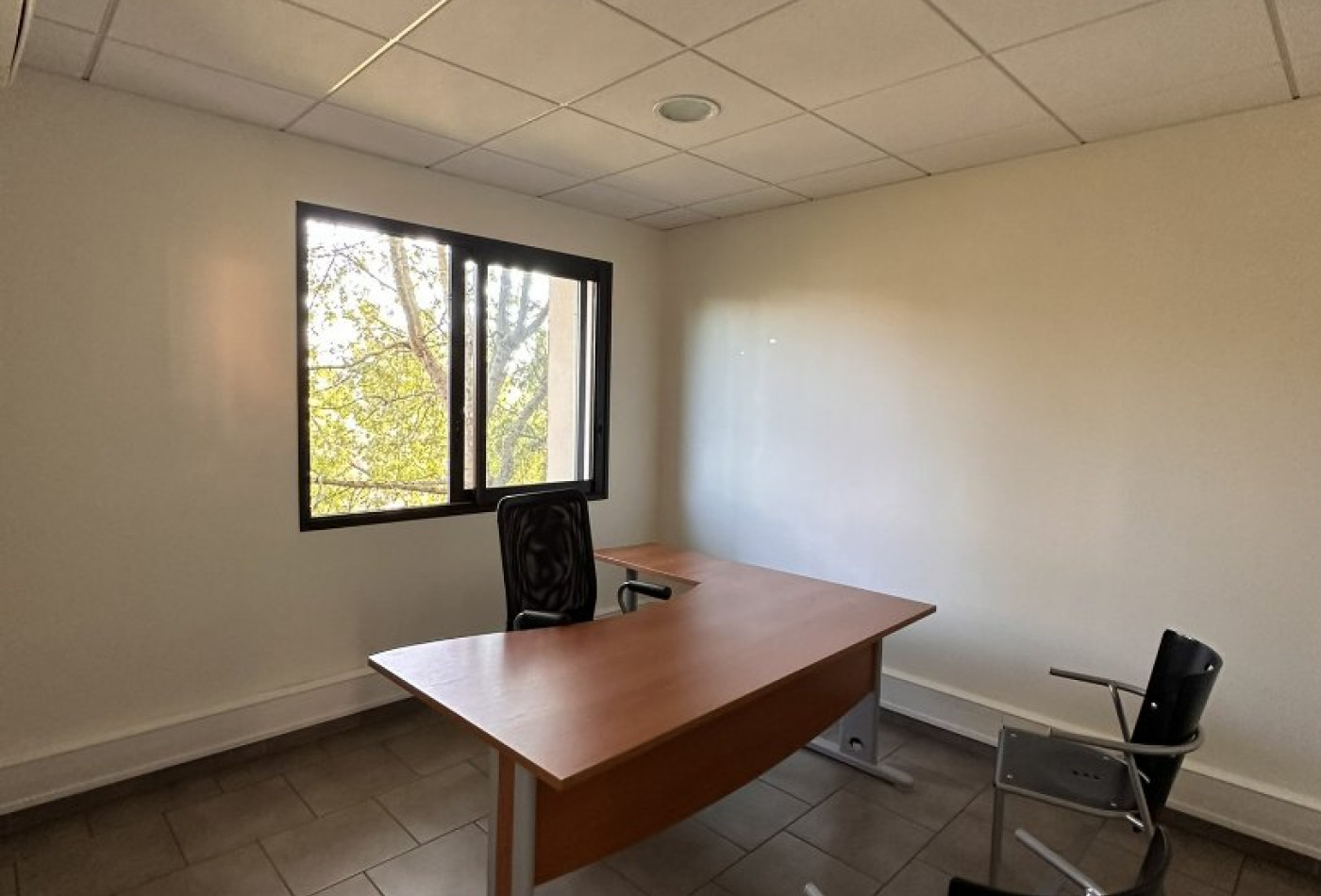 location Bureau Quint Fonsegrives - Photo 6