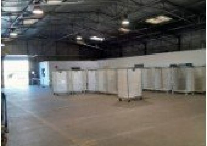 location Entrepot Toulouse