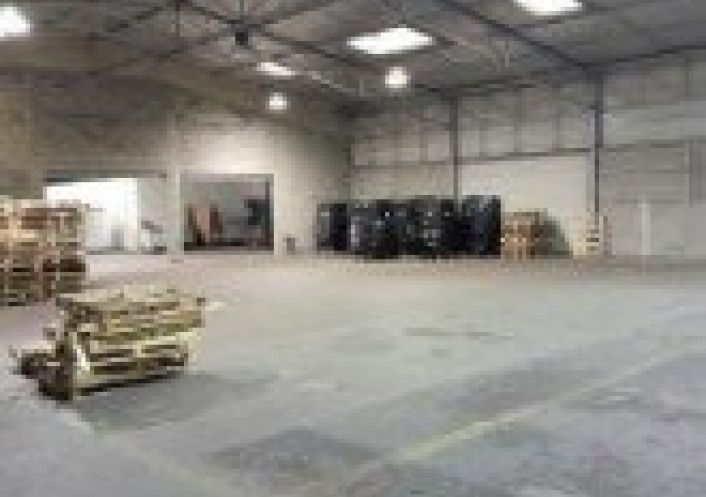 location Entrepot Toulouse