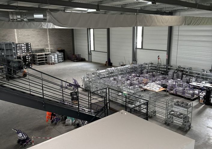 location Entrepot Toulouse