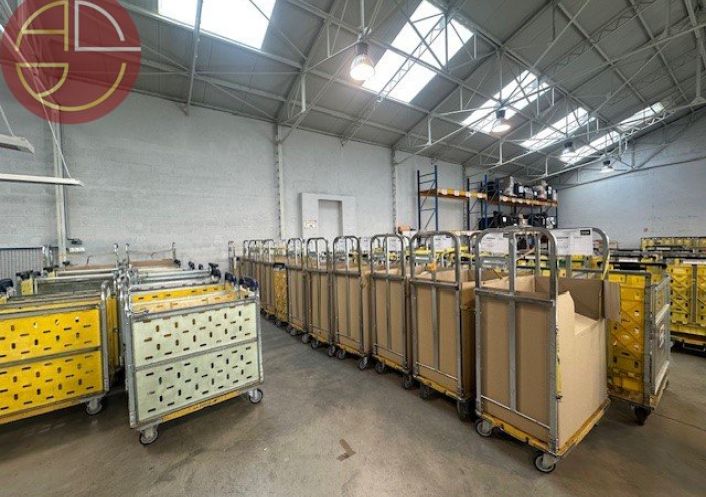 location Entrepot Toulouse