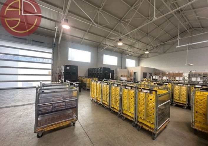 location Entrepot Toulouse