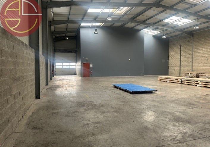 location Entrepot Toulouse