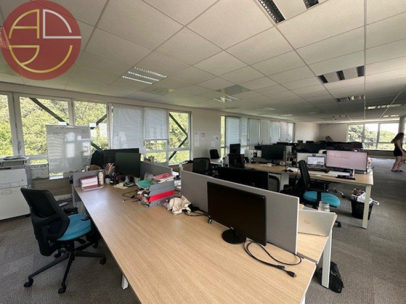 location Bureau Toulouse - Photo 4