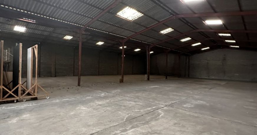 location Entrepot Saint-alban
