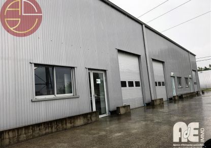 location Entrepot Escalquens