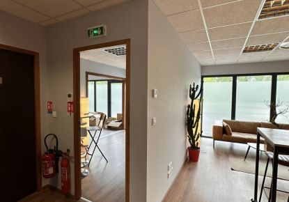 location Bureau Montrabe