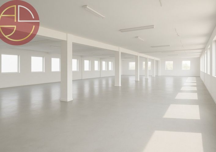 vente Bureau Blagnac