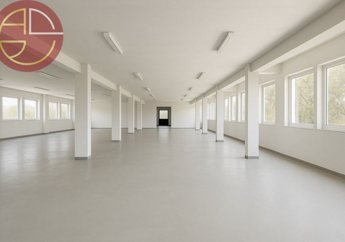 vente Bureau Blagnac