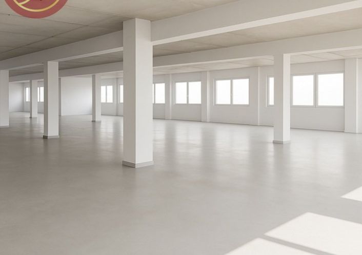 vente Bureau Blagnac