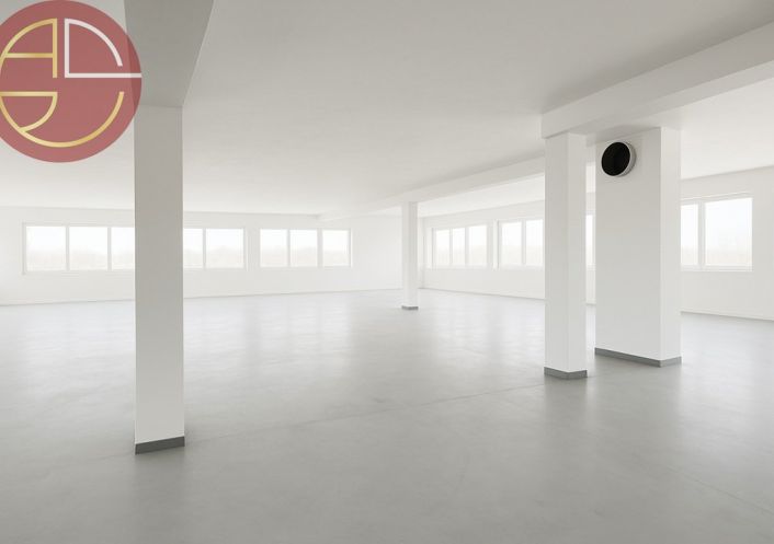 vente Bureau Blagnac