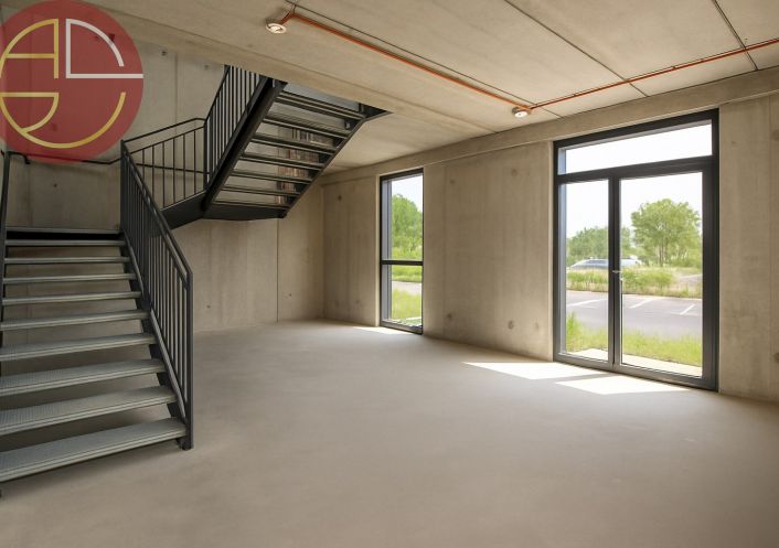 vente Local commercial Castanet Tolosan