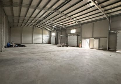 location Entrepot Grisolles