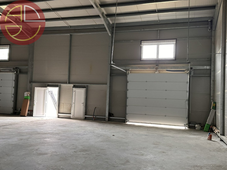 location Entrepot Grisolles - Photo 5