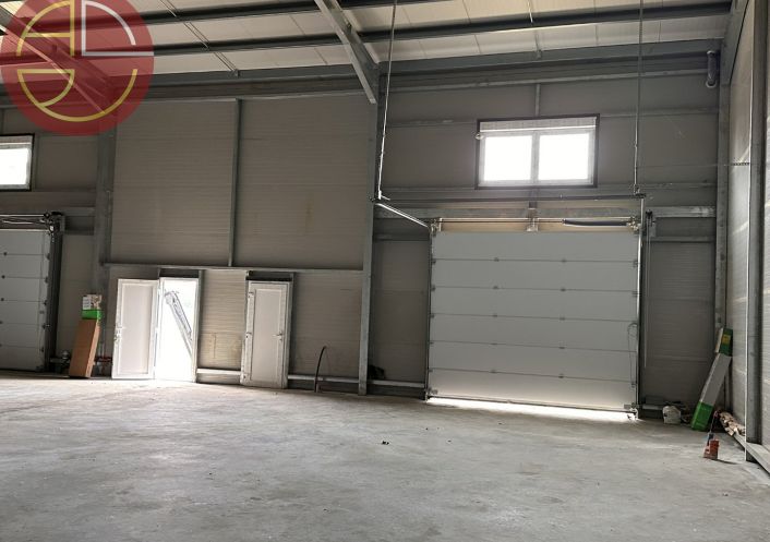 location Entrepot Grisolles