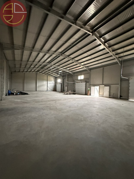 location Entrepot Grisolles - Photo 1