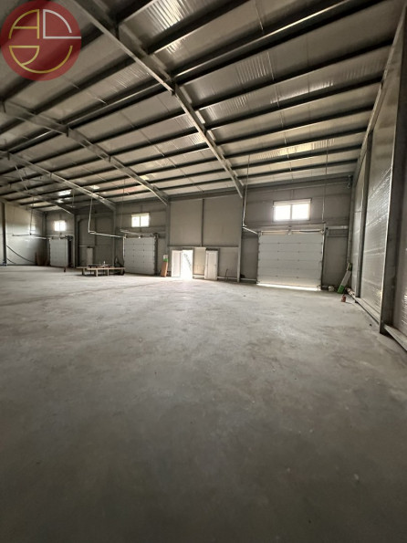 location Entrepot Grisolles - Photo 4