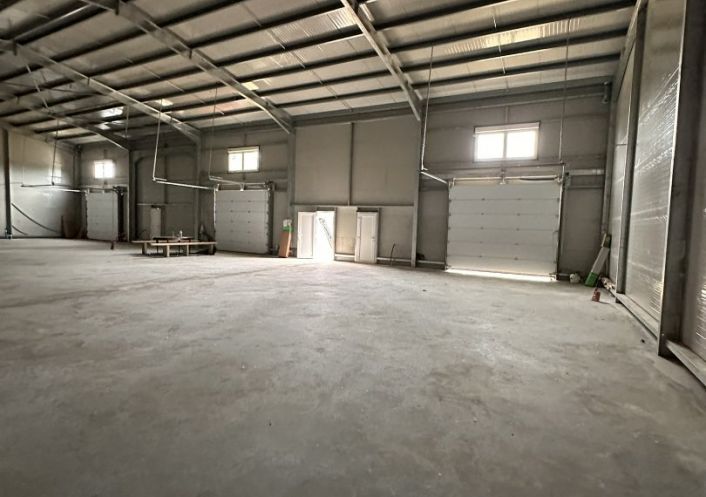 location Entrepot Grisolles