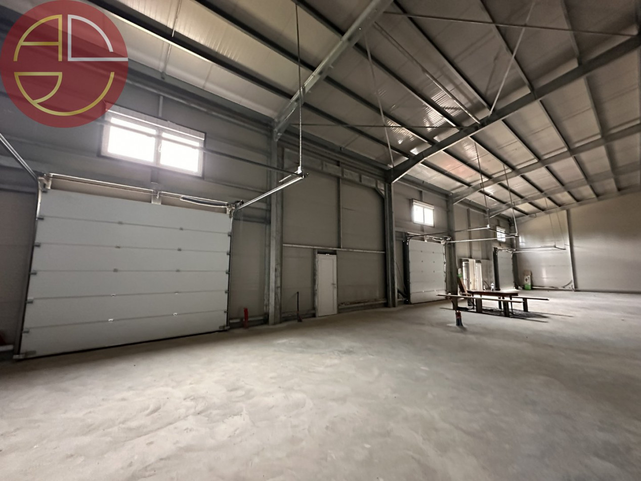 location Entrepot Grisolles - Photo 3