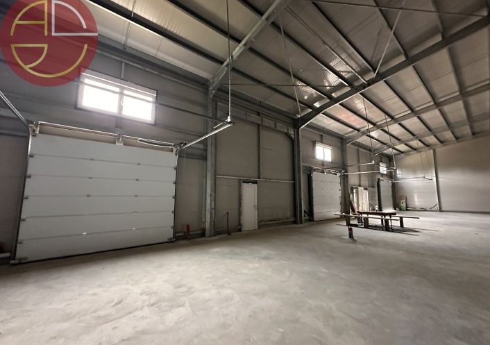 location Entrepot Grisolles