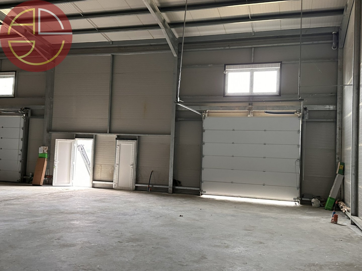 location Entrepot Grisolles - Photo 5