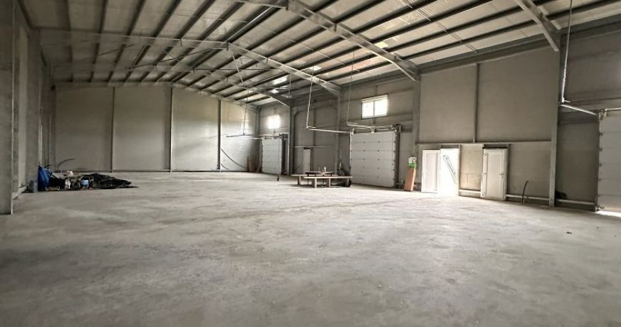 location Entrepot Grisolles