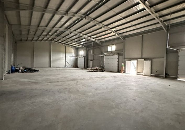 location Entrepot Grisolles