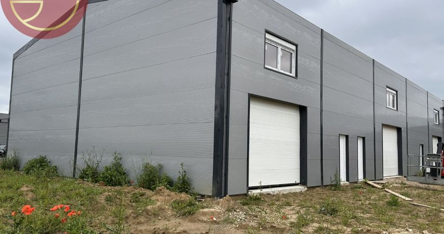 location Entrepot Grisolles