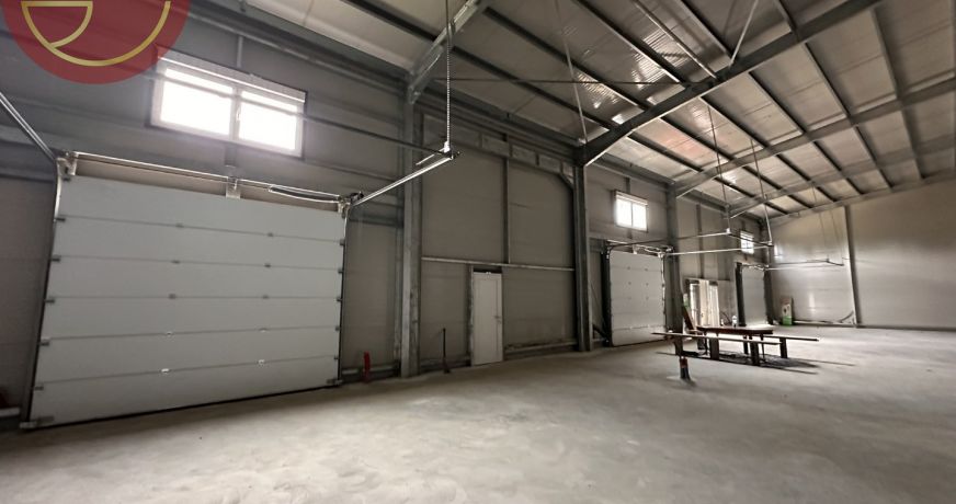 location Entrepot Grisolles