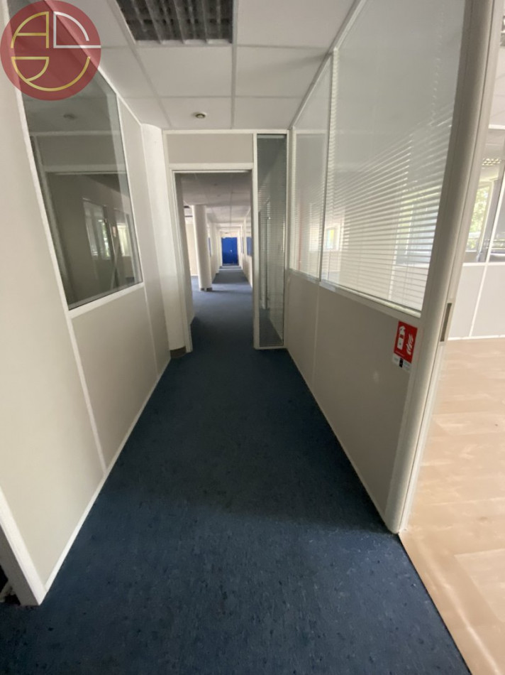 location Bureau Labege - Photo 10