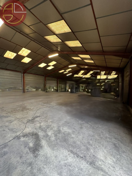 vente Entrepot Pinsaguel - Photo 2