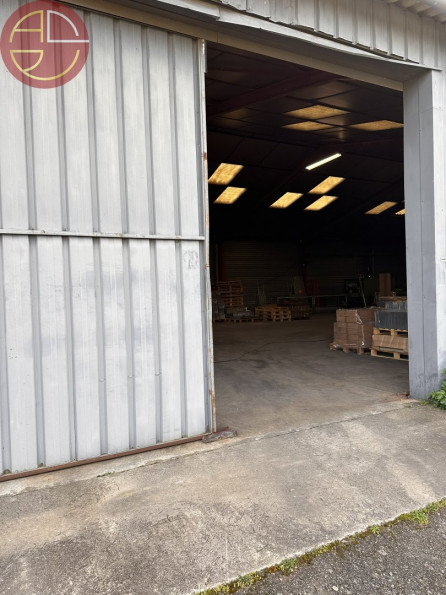 vente Entrepot Pinsaguel - Photo 4