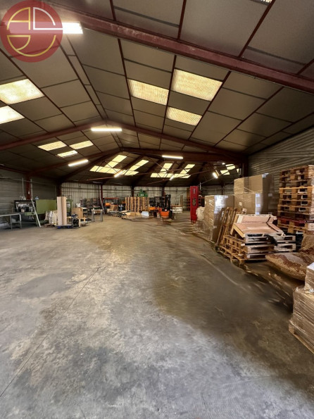 vente Entrepot Pinsaguel - Photo 7